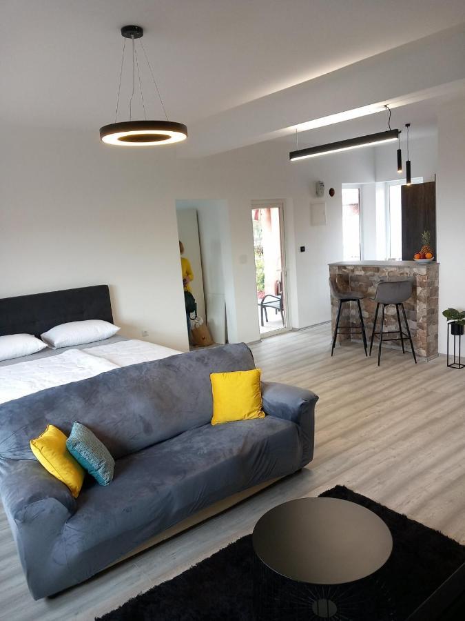 Apartman Ani Rijeka Eksteriør billede